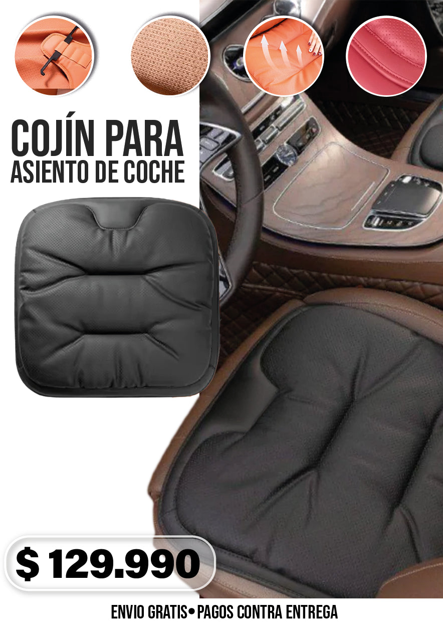 COJÍN PARA ASIENTO DE COCHE