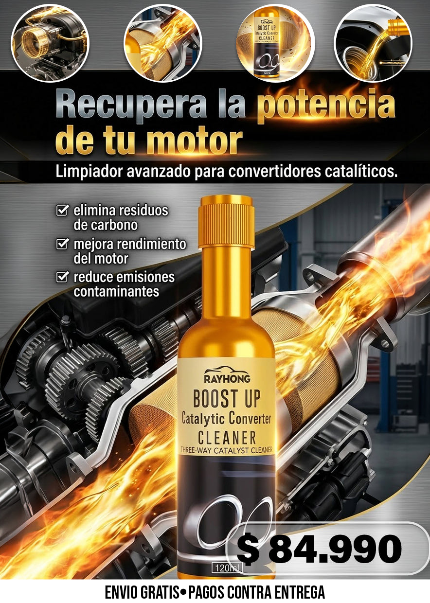 LIMPIADORES DE CONVERTIDORES CATALÍTICOS